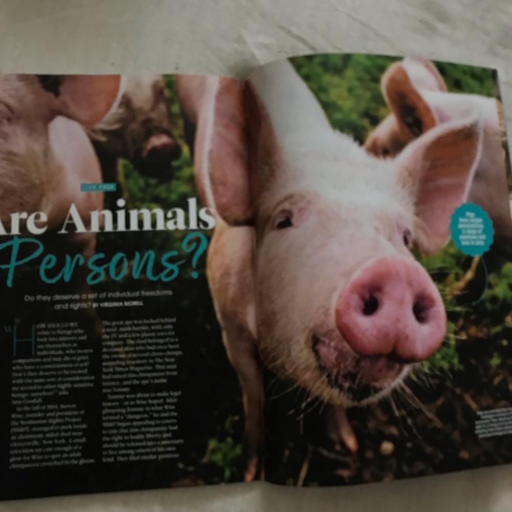 FREE The Ultimate Guide to the Animal Mind - Picture 7 of 10